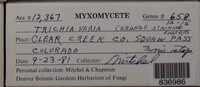 Image Associated With the Occurence